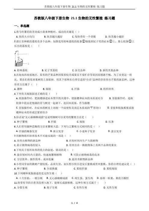 苏教版八年级下册生物 21.1生物的无性繁殖 练习题