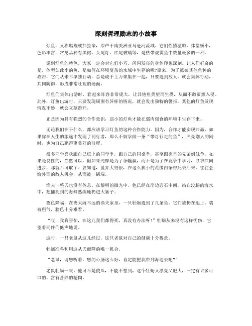 深刻哲理励志的小故事