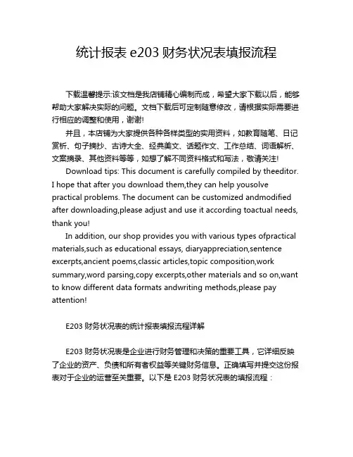 统计报表e203财务状况表填报流程