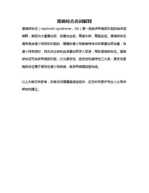 肾病综合名词解释