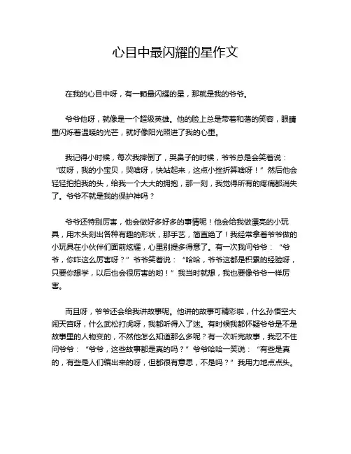 心目中最闪耀的星作文