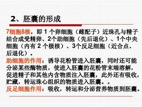 植物形态解剖 - 果实和种子