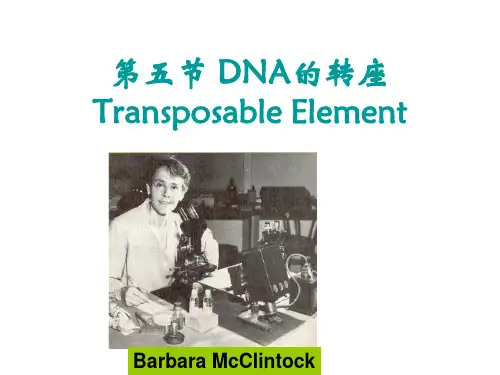 第五节DNA的转座Transposons