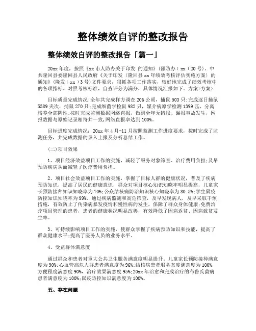 整体绩效自评的整改报告