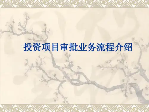 投资项目审批业务流程介绍