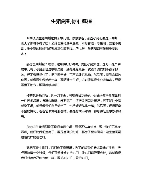 生猪阉割标准流程