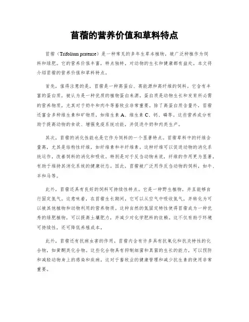 苜蓿的营养价值和草料特点