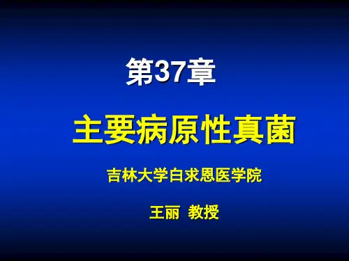 第37章 主要病原性真菌