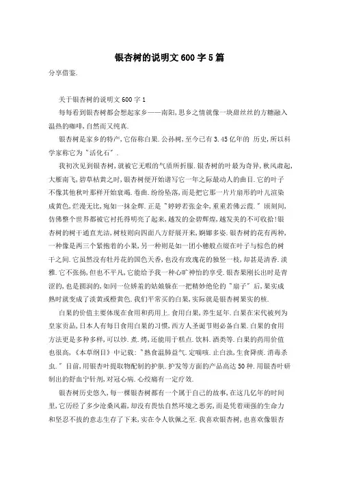 银杏树的说明文600字5篇