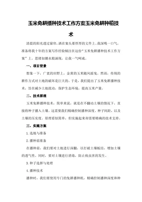 玉米免耕播种技术工作方案 玉米免耕种植技术