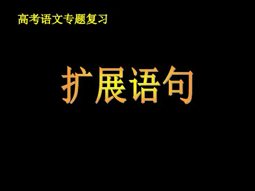 (完整版)高考扩展语句最新指导.ppt