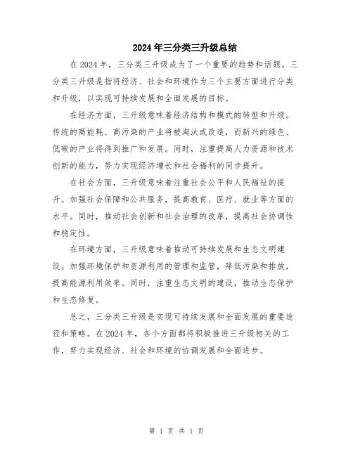 2024年三分类三升级总结
