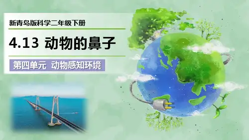 2024新青岛版科学二年级下册第四单元 动物感知环境《动物的鼻子》优质课件