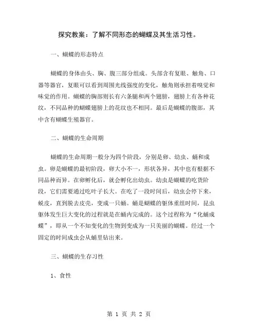 探究教案：了解不同形态的蝴蝶及其生活习性