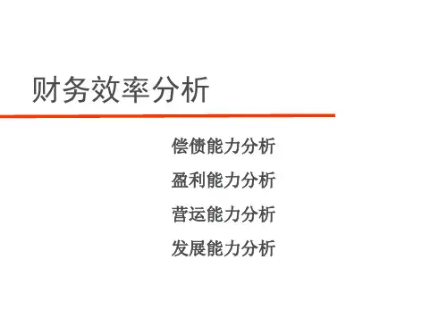 第五讲 财务效率分析(1)