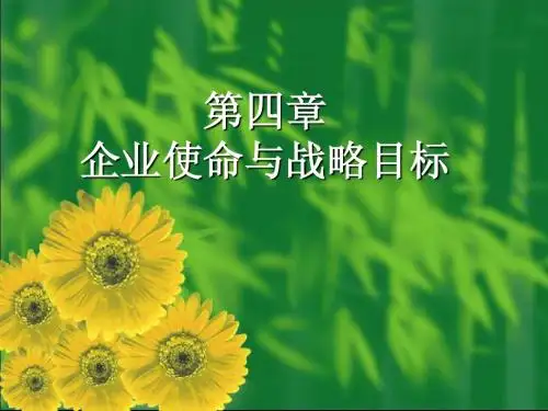 企业战略管理教程(第二版)第04章