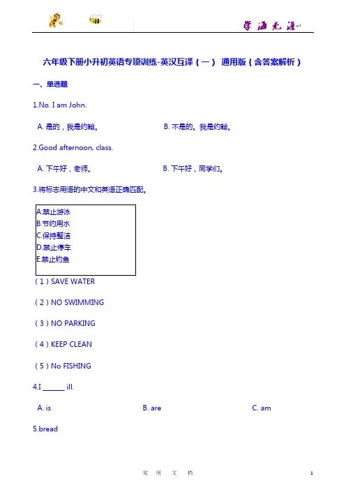 小升初专项训练之英汉互译(一)  (含答案解析)  通用版
