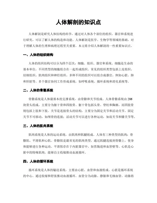 人体解剖的知识点