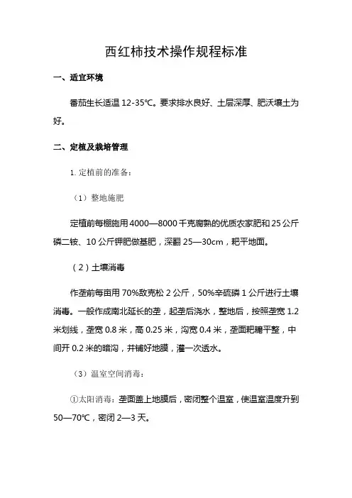 西红柿技术操作规程标准