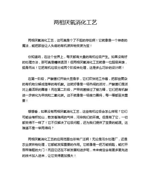 两相厌氧消化工艺