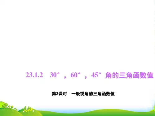 沪科版九年级数学上册课件：23.1.1.3一般锐角的三角函数值