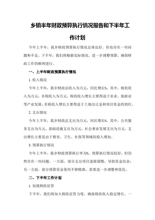 乡镇半年财政预算执行情况报告和下半年工作计划