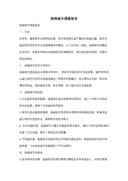 海绵城市调查报告