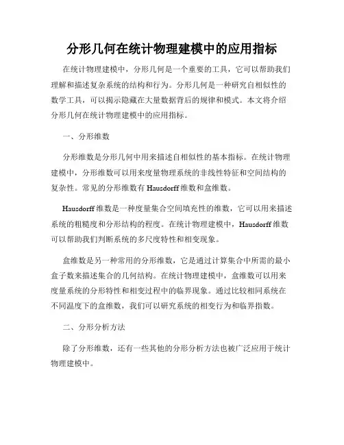 分形几何在统计物理建模中的应用指标
