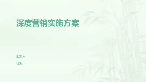 深度营销实施方案