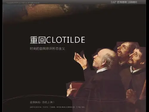 某品牌品牌策划全案PPT课件