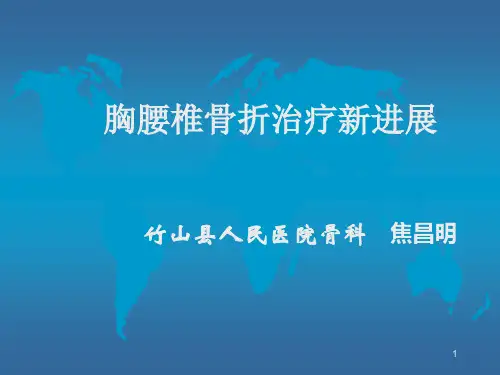 脊柱外科新进展PPT参考幻灯片