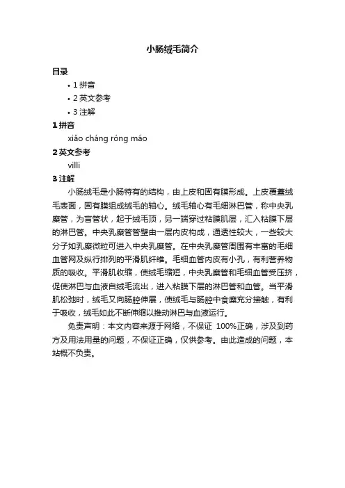 小肠绒毛简介