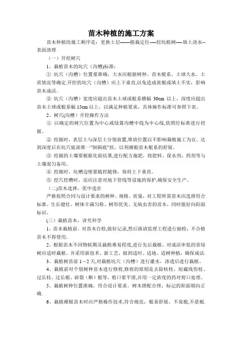 苗木种植的施工方案