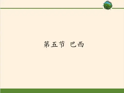 商务星球版初中地理七年级下册课件-8.5 巴西9