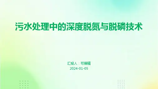 污水处理中的深度脱氮与脱磷技术