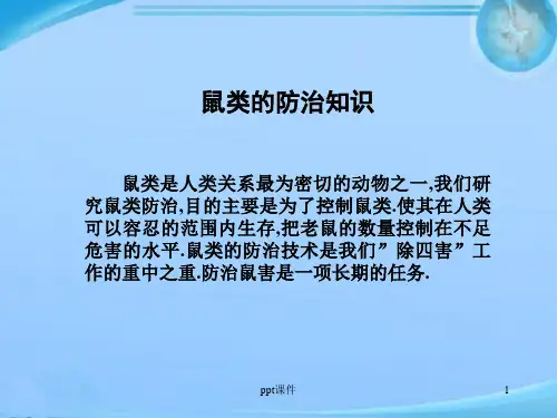 鼠类防治知识  ppt课件