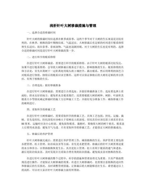 浅析针叶大树移栽措施与管理