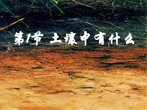 五年级上册科学课件-3.4土壤中有什么 ｜教科版      (共31张PPT)