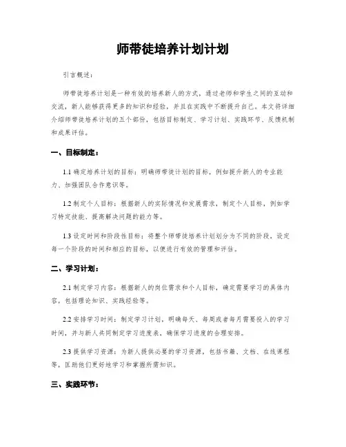 师带徒培养计划计划