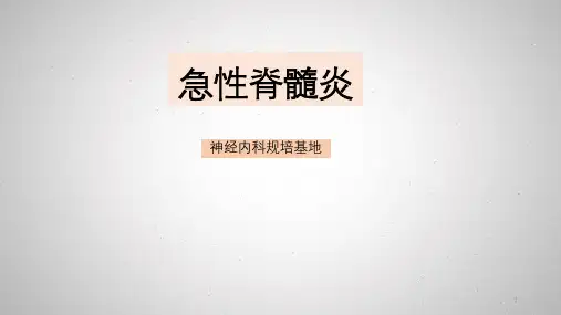 急性脊髓炎PPT课件