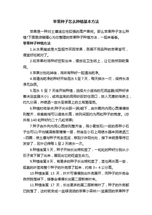 苹果种子怎么种植基本方法