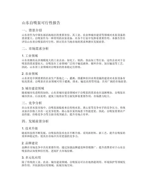 山东自吸泵可行性报告