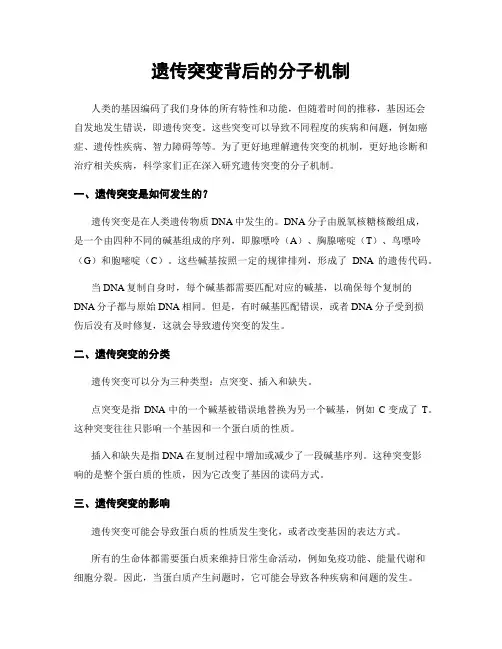 遗传突变背后的分子机制