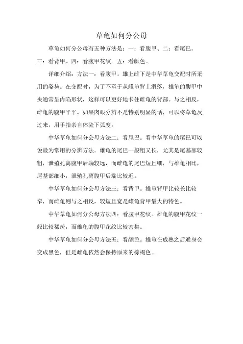 草龟如何分公母