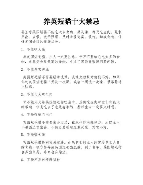 养英短猫十大禁忌