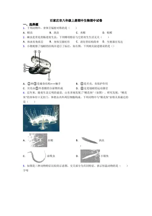 石家庄市八年级上册期中生物期中试卷