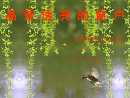 小学三年级《保护眼睛》主题班会精品课件-PPT课件