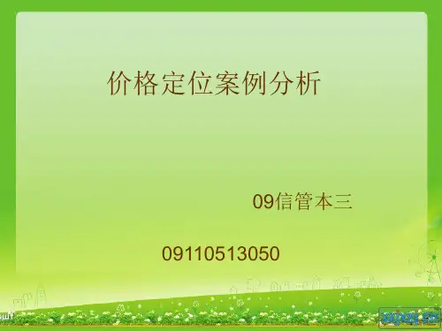 价格定位案例分析