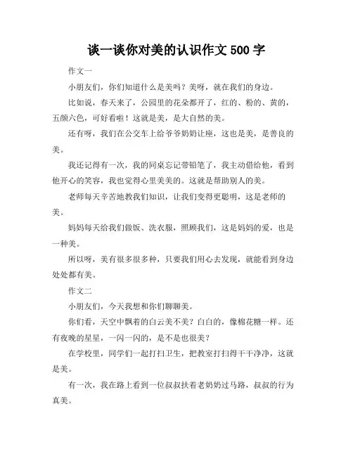 谈一谈你对美的认识作文500字