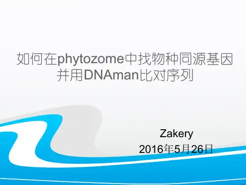 如何找同源基因并用DNAman比对序列
